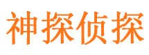 东方侦探